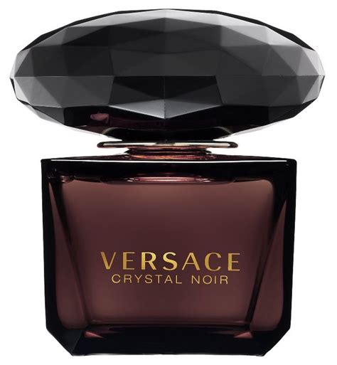 versace dior perfume.